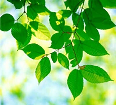 Vesikiertoinen lattialämmitys energiatehokas